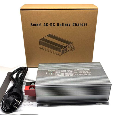 Cargador de batería de corriente alterna de 48 V AC90-130V/60Hz o AC180-260V/50Hz Max 588W