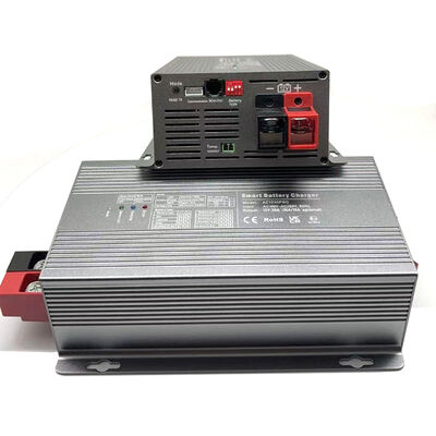 180V-260V AC 50HZ Cargador de batería inteligente 12V 30A / 24V 15A / 48V 10A